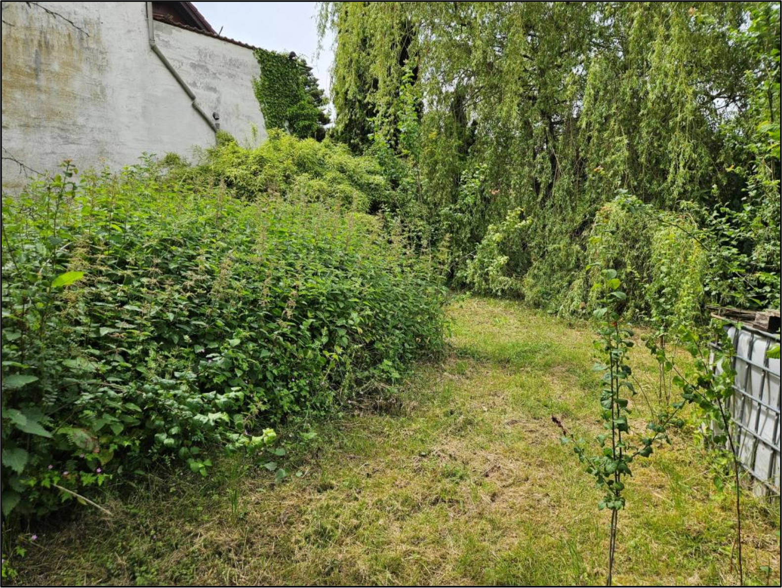 baden-wuerttemberg 2 K 2/24 Odenwaldstraße 20, 69429 Waldbrunn 10