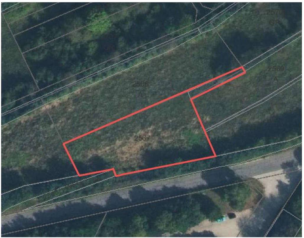 Land-/Forstwirtschaft in Unterer Büchelberg, 97941 Tauberbischofsheim - Bild 5