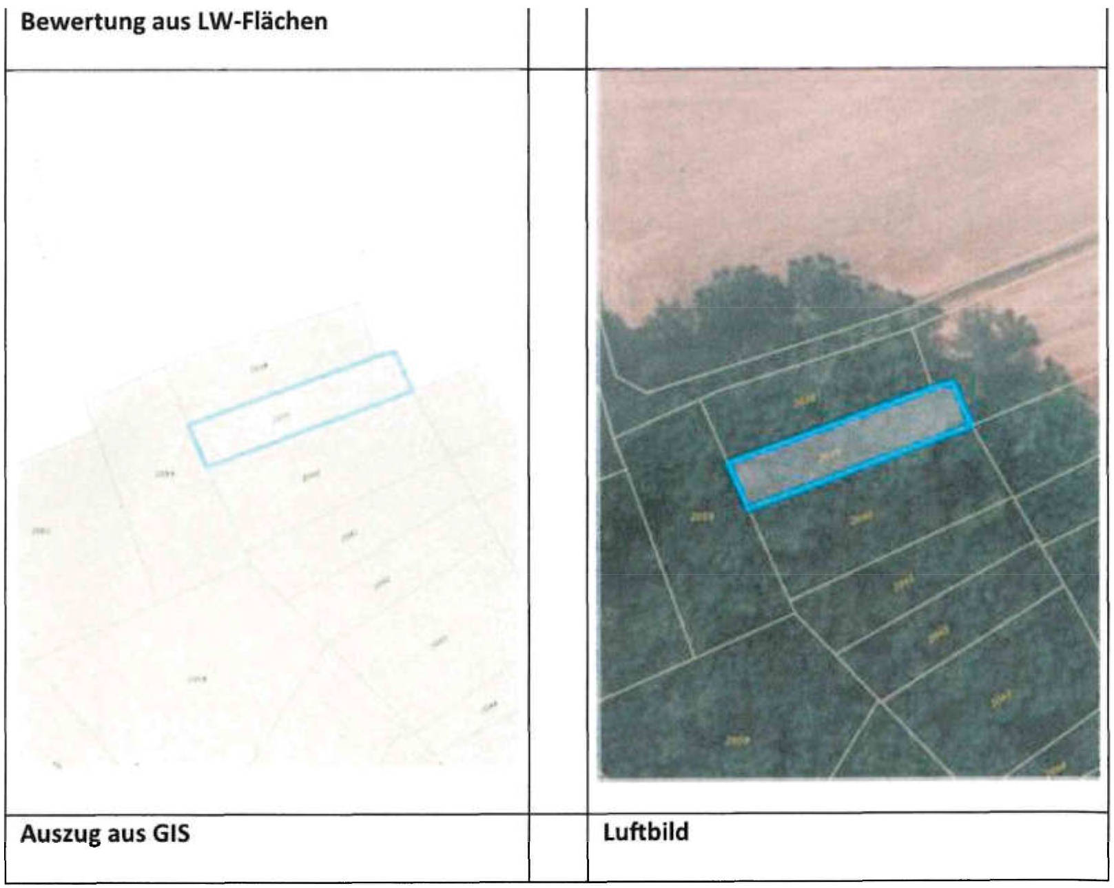 Land-/Forstwirtschaft in , 97957 Wittighausen-Unterwittighausen - Bild 3