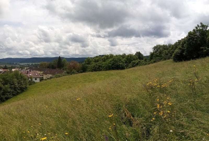 Land-/Forstwirtschaft in , 74405 Gaildorf