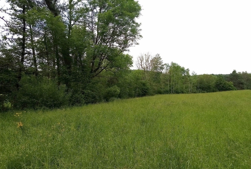 Land-/Forstwirtschaft in , 74405 Gaildorf - Bild 3