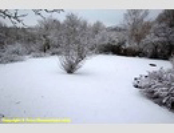 baden-wuerttemberg 2 K 38/24 Schlossgarten, 74544 Michelbach/Bilz 3