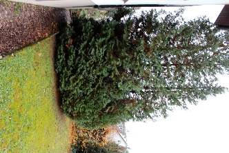 baden-wuerttemberg 2 K 39/25 Stephansbergweg 1, 69469 Weinheim - Lützelsachsen 16
