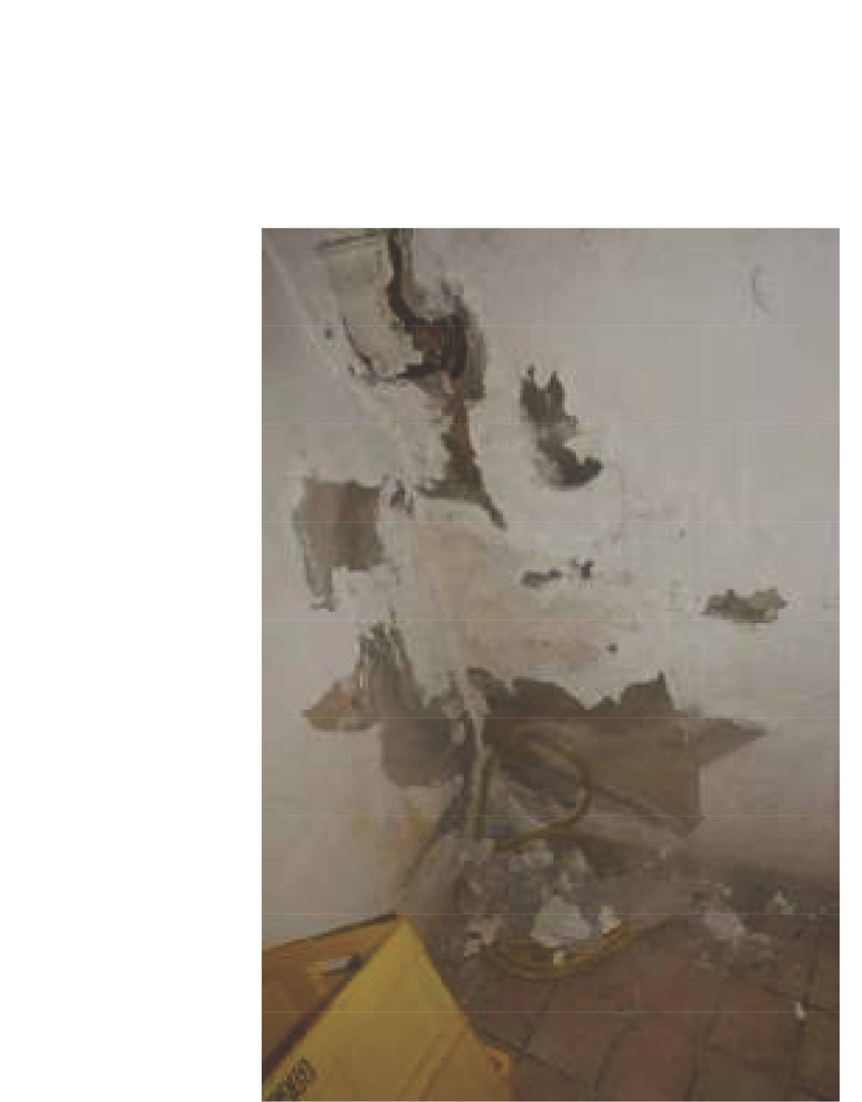 Wohnhaus in Höhenstraße 24, 68259 Mannheim - Bild 5