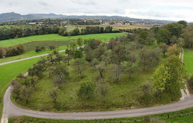 Land-/Forstwirtschaft in , 73230 Jesingen - Bild 2