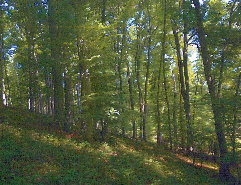 baden-wuerttemberg 2 K 50-21 , 74219 Möckmühl - Bittelbronn