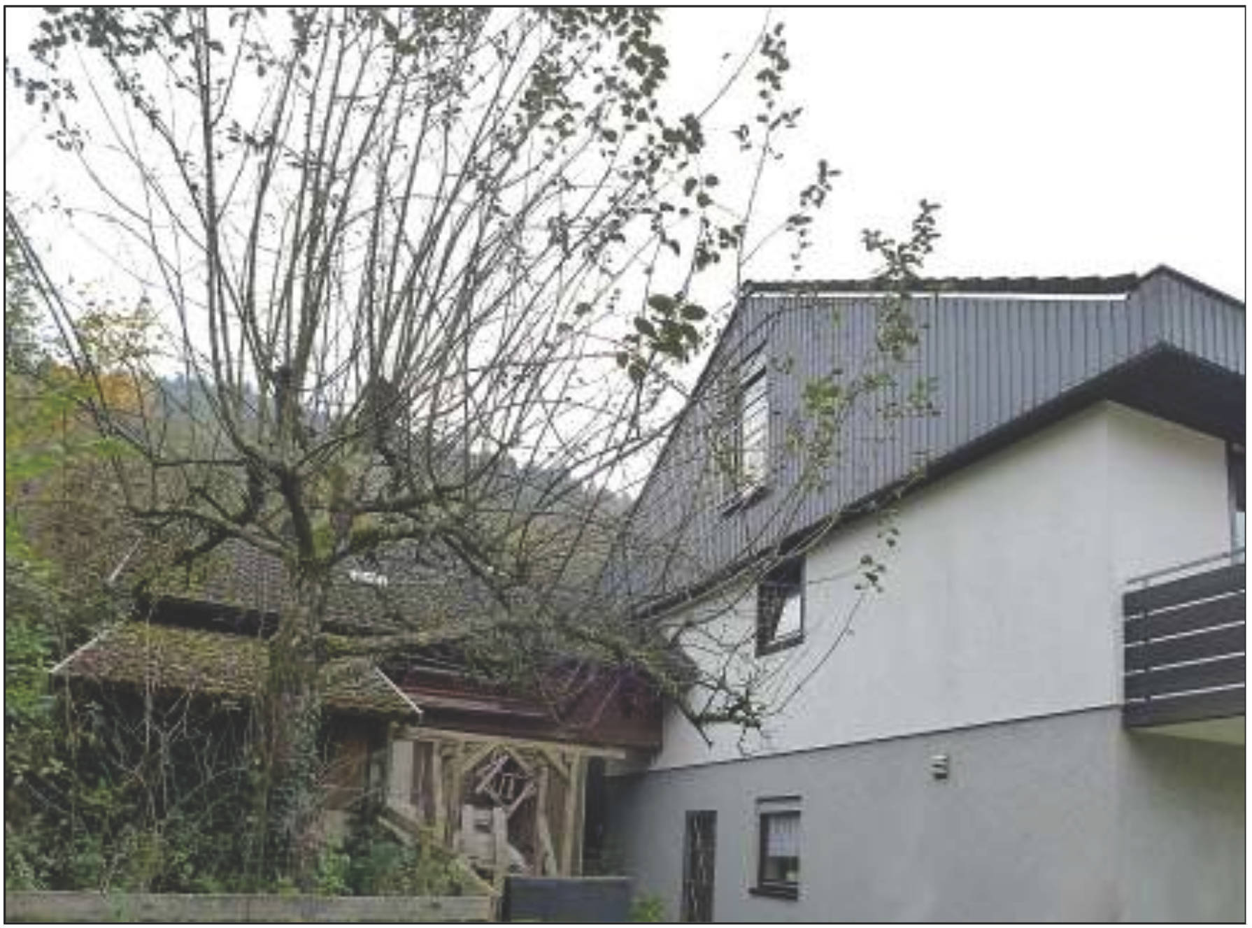 baden-wuerttemberg 2 K 56/24 Lärchenstraße 8, 76593 Gernsbach 8