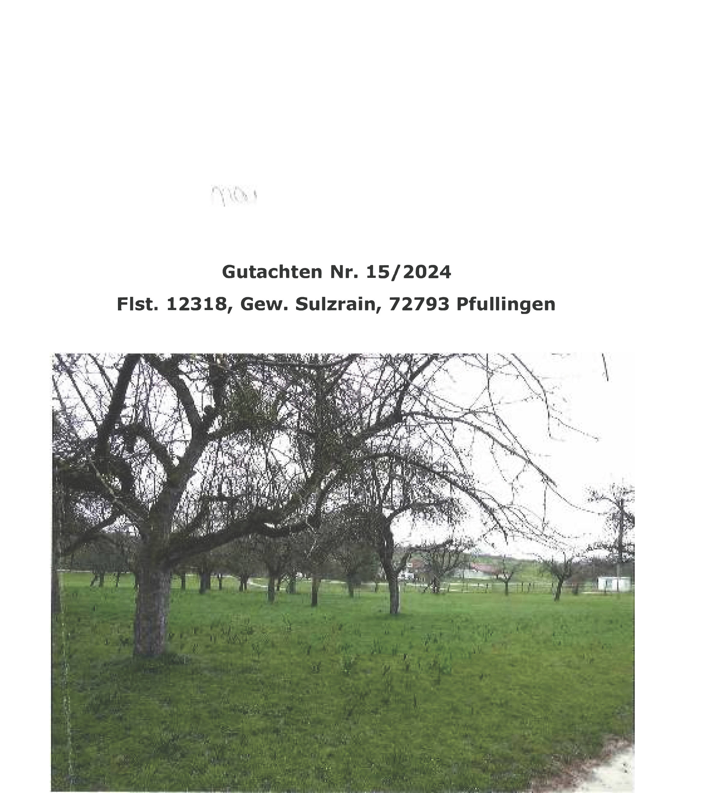 Landwirtschaftsfläche in 72793 Pfullingen