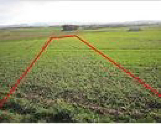 Land-/Forstwirtschaft in , 72631 Aichtal OT Grötzingen - Bild 3