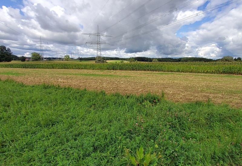 Land-/Forstwirtschaft in , 73460 Hüttlingen - Bild 2