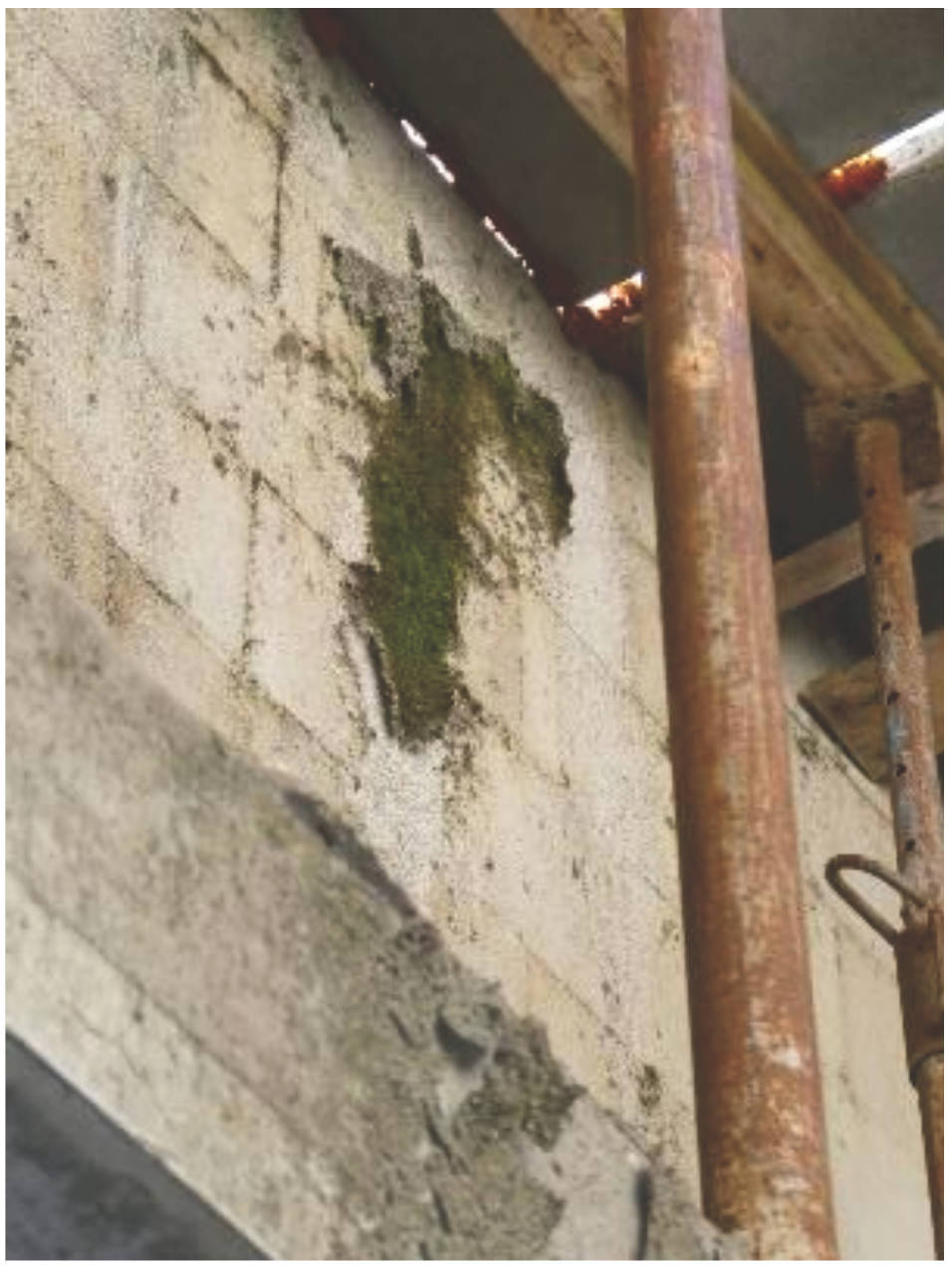 Einfamilienhaus in Schwimmbadweg 8, 8a, 79682 Todtmoos - Bild 4