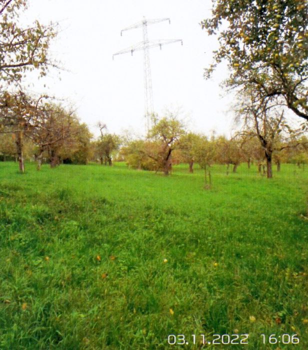 Grundstück in Hauptstraße, 71409 Schwaikheim - Bild 4
