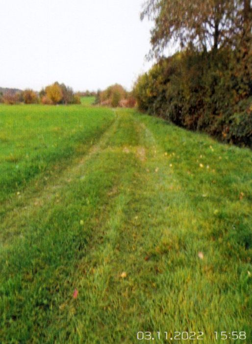 Grundstück in Hauptstraße, 71409 Schwaikheim - Bild 3