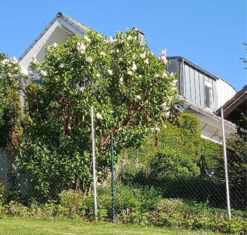 baden-wuerttemberg 2 K 70/24 Schlesienstraße 34/32, 74889 Sinsheim 12