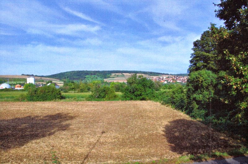 Wohnhaus/Landwirtschaftsflächen in Herrenmühle 5, 97941 Tauberbischofsheim - Bild 2