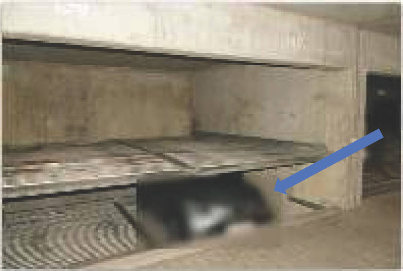 Einzimmerwohnung in Woerishofferstraße 12, 76189 Karlsruhe - Bild 2