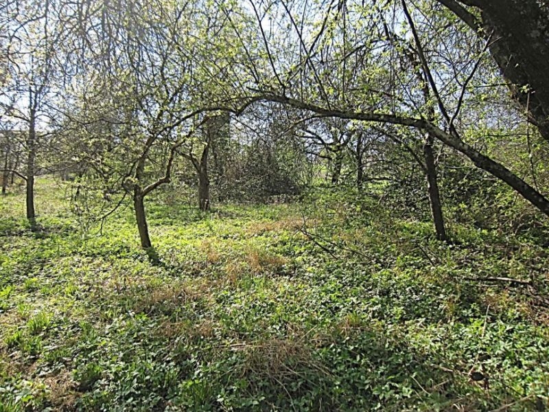 baden-wuerttemberg 2 K 97/24 Pfaffentobel, 72664 Kohlberg 5