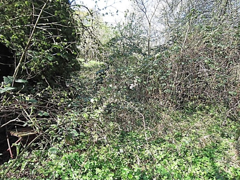 baden-wuerttemberg 2 K 97/24 Pfaffentobel, 72664 Kohlberg 3