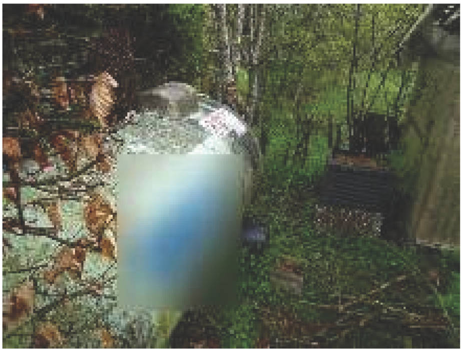 baden-wuerttemberg 20 K 21/23 Nillabergweg 18, 72250 Freudenstadt - Dietersweiler 11