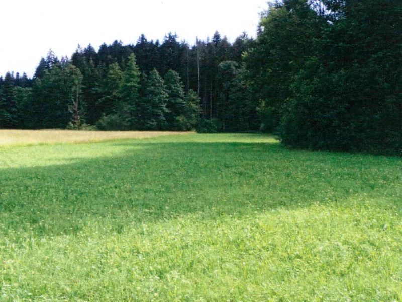 Land-/Forstwirtschaft in , 73565 Spraitbach - Bild 3