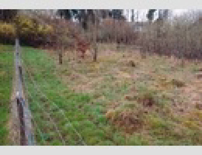 Grundstück in Oberbettringer Straße, 73525 Schwäbisch Gmünd - Bild 2