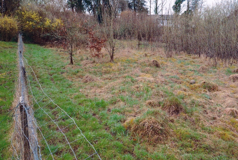 Grundstück in Oberbettringer Straße, 73525 Schwäbisch Gmünd