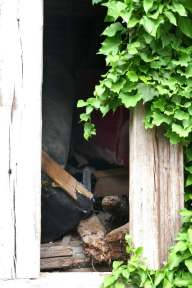 baden-wuerttemberg 3 K 1/25 Brückenstraße 22, 74706 Osterburken-Bofsheim 9