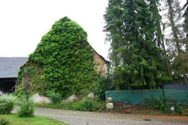 Dreizimmerwohnung in Brückenstraße 22, 74706 Osterburken-Bofsheim - Bild 3