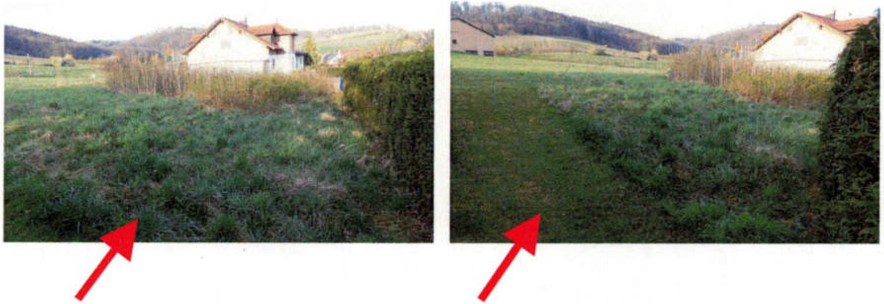 baden-wuerttemberg 3 K 131/24 Heiligenfeld, 74245 Löwenstein - Hößlinsülz 12