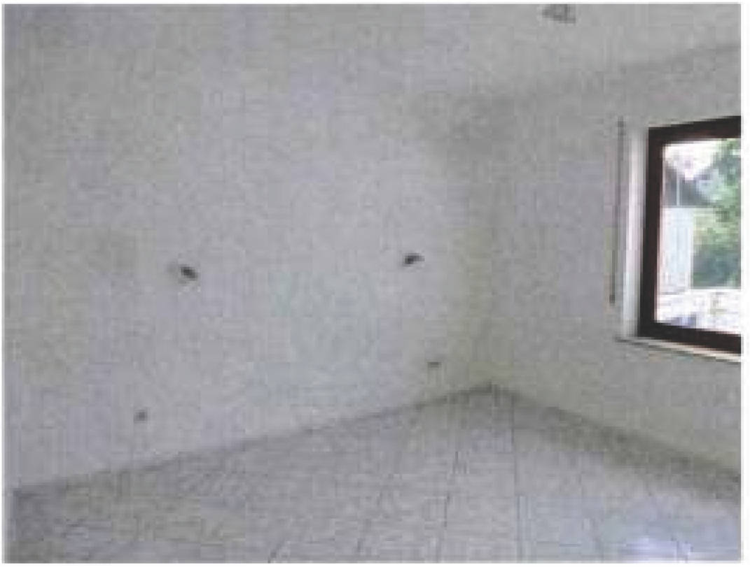 Mehrfamilienhaus in Untere Blatt 14, 78253 Eigeltingen - Bild 5