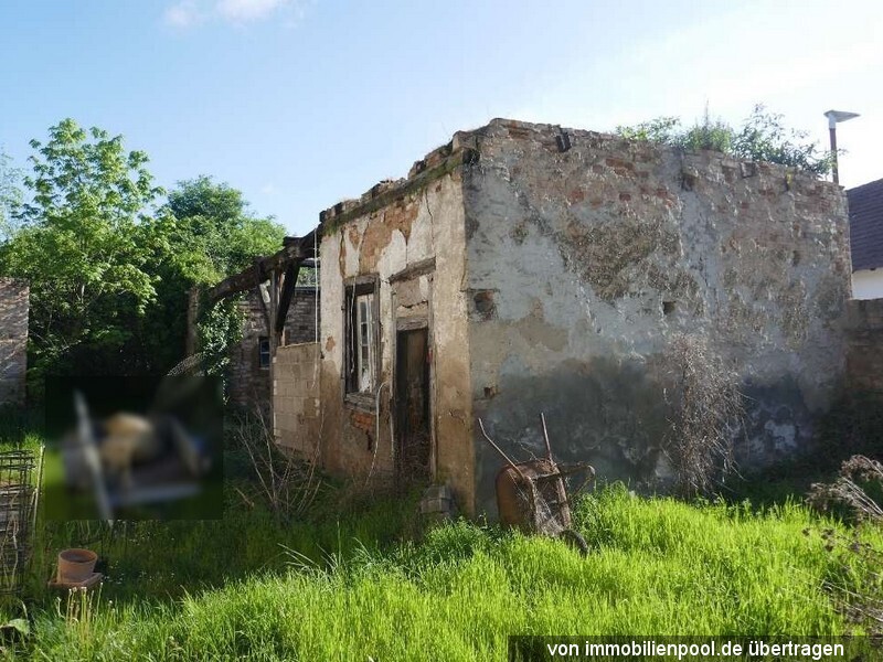 Einfamilienhaus in Hauptstraße 26, 28, 76661 Philippsburg - Rheinsheim - Bild 2