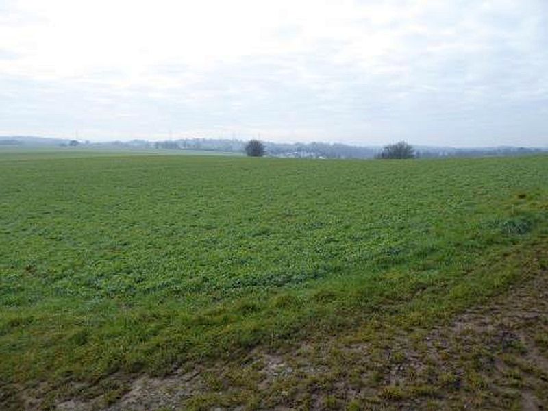 Land-/Forstwirtschaft in , 69168 Wiesloch-Schatthausen - Bild 4