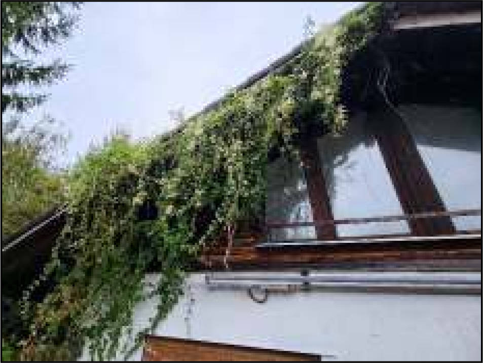 Einfamilienhaus in Wiesenweg 6, 79737 Herrischried