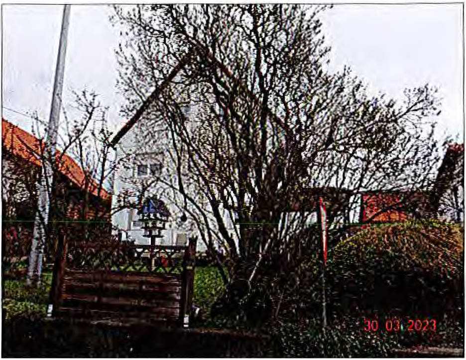 baden-wuerttemberg 3 K 3/23 Lange Straße 48 und Eichbühl 1, 89604 Allmendingen 14