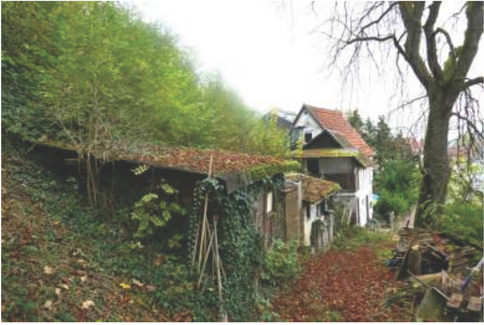 Einfamilienhaus in Hochhäuser Straße 44, 74847 Obrigheim - Bild 4