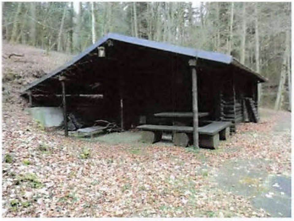 Linsenbuckelweg 16, 69253 Heiligkreuzsteinach