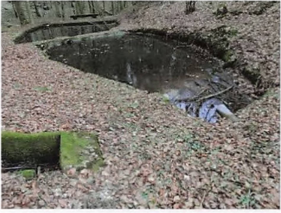 baden-wuerttemberg 3 K 72/24 Linsenbuckelweg 16, 69253 Heiligkreuzsteinach 10