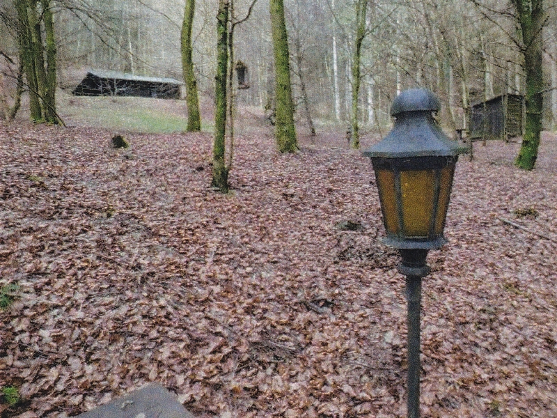 baden-wuerttemberg 3 K 72/24 Linsenbuckelweg 16, 69253 Heiligkreuzsteinach 7