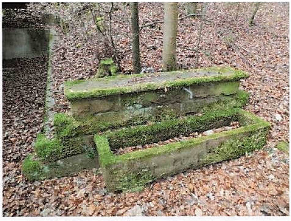 baden-wuerttemberg 3 K 72/24 Linsenbuckelweg 16, 69253 Heiligkreuzsteinach 11