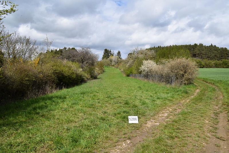 Grundstück in Klotzhalde, 71263 Weil der Stadt - Merklingen