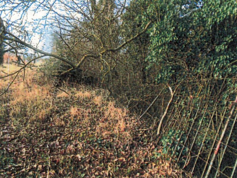 Land-/Forstwirtschaft in Hintere Lindach, 74189 Weinsberg