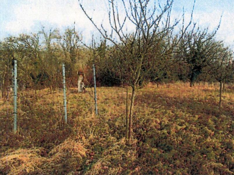 Land-/Forstwirtschaft in Hintere Lindach, 74189 Weinsberg - Bild 3