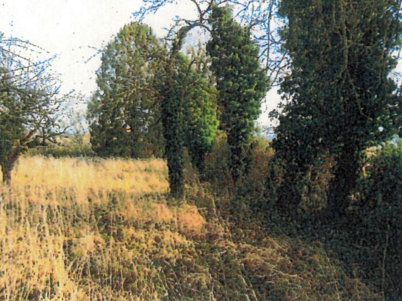 Land-/Forstwirtschaft in Hintere Lindach, 74189 Weinsberg - Bild 2