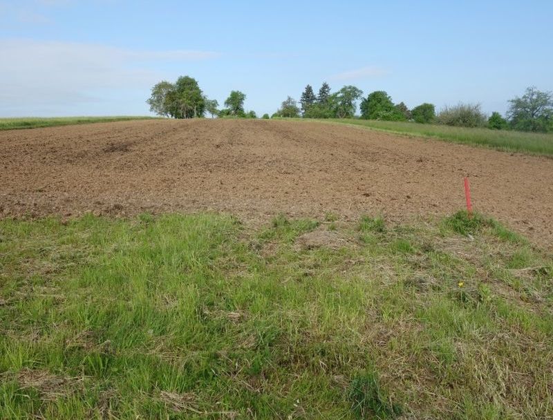 Grundstück in , 71144 Steinenbronn - Bild 2