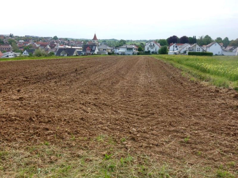 Land-/Forstwirtschaft in , 71144 Steinenbronn