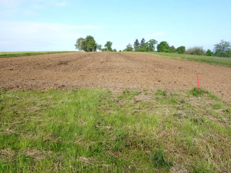 Land-/Forstwirtschaft in , 71144 Steinenbronn - Bild 2