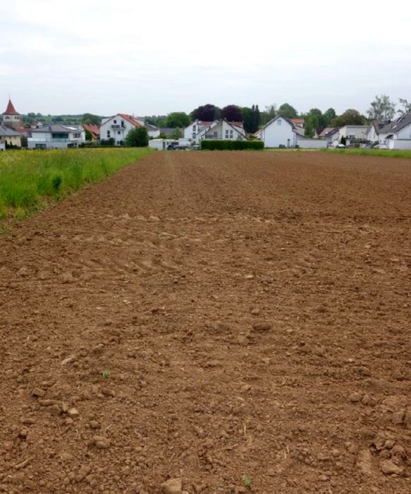 Land-/Forstwirtschaft in , 71144 Steinenbronn - Bild 2