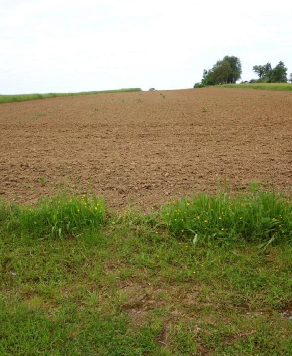Land-/Forstwirtschaft in , 71144 Steinenbronn