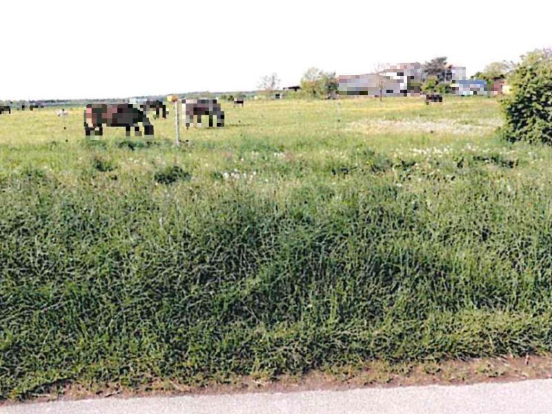 baden-wuerttemberg 5 K 75-20 Tübinger Weg, 71088 Holzgerlingen