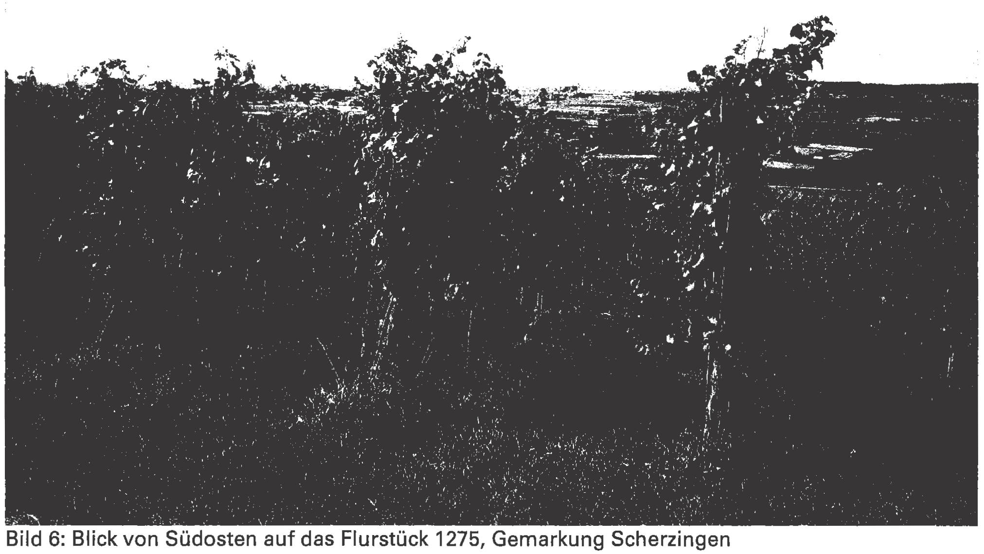 79227 Schallstadt und 79228 Gottenheim